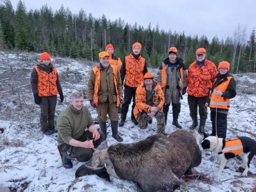 Kalla alkaa oppimaan jujun