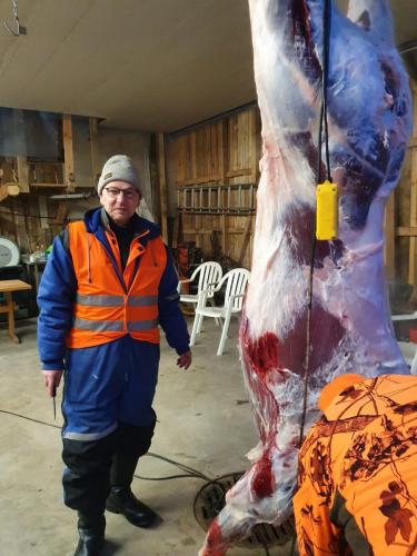 Henkka nylkyhommissa