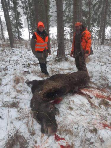 Henry ja Pekka kaadolla