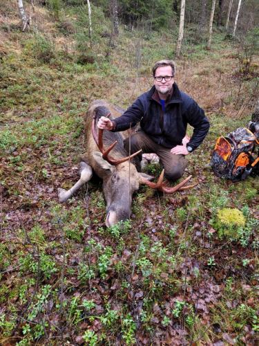 Teemun kaatama sonni